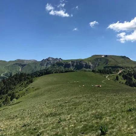 Mitoyen Avec Terrasse, 2 Chambres, Parking Prive - Fr-1-608-65 *